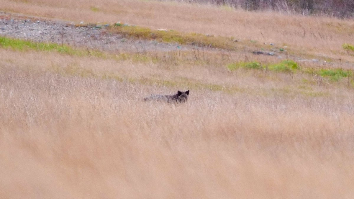 Mike Griffith tweet media