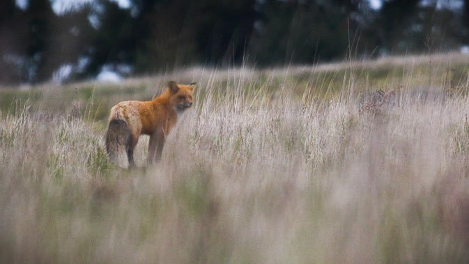 Mike Griffith tweet media