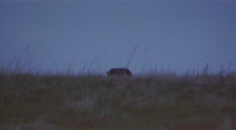 Mike Griffith tweet media