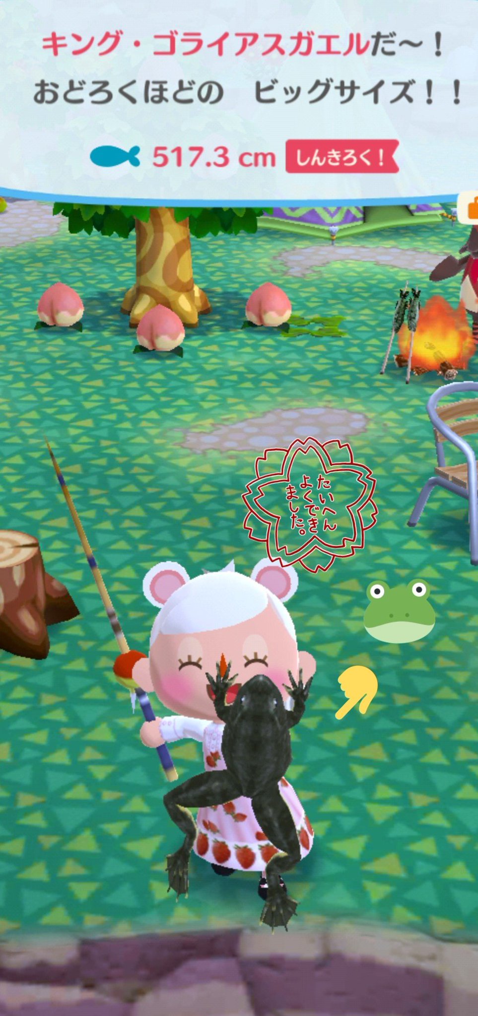 るえか キングゴライアスガエル釣った すごい 重たそう ポケ森 ゆるポケ森 キングゴライアスガエル るえか キングゴライアスガエル釣った すごい 重たそう ポケ森 ゆるポケ森 キングゴライアスガエル