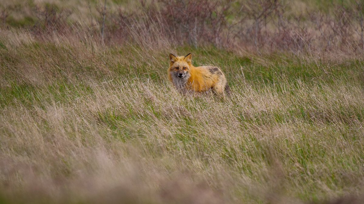 Mike Griffith tweet media