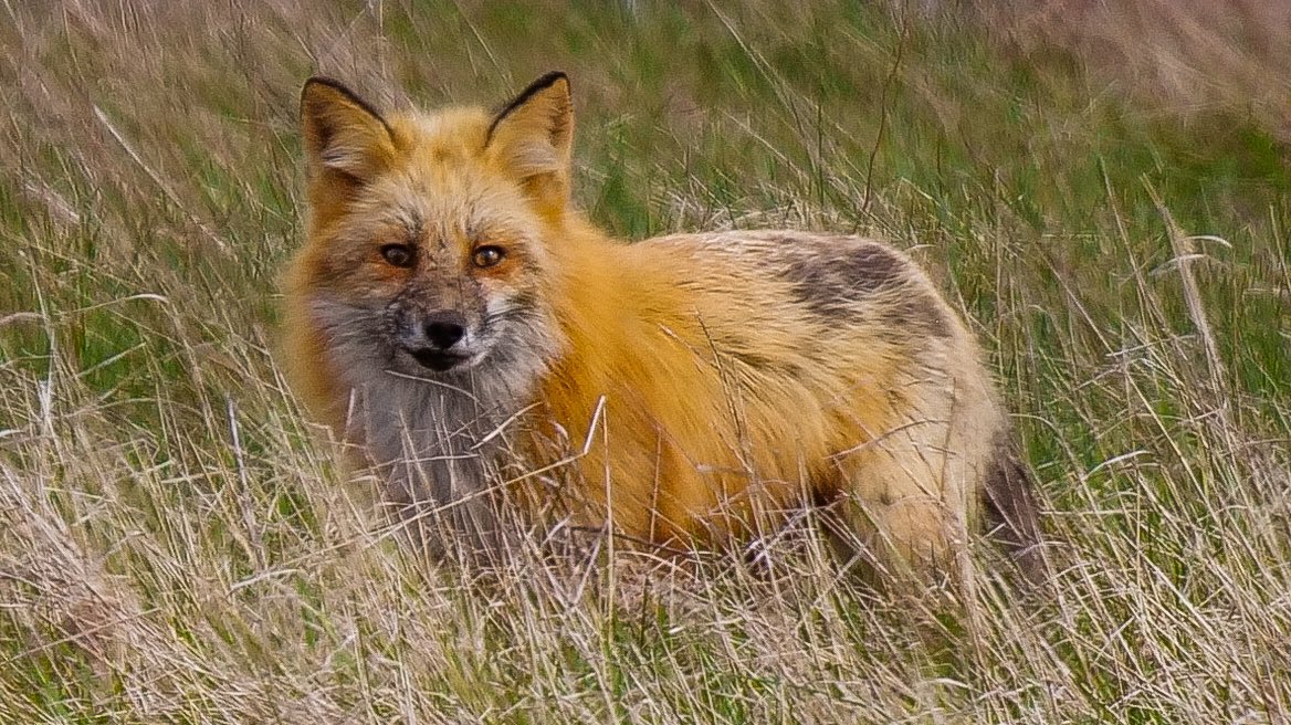 Mike Griffith tweet media