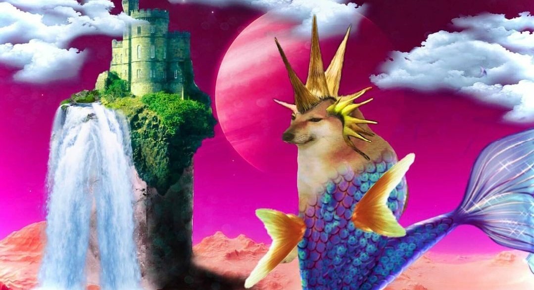 terapistim: rüyalarımız bize birçok şey anlatabilir
rüyalarım: