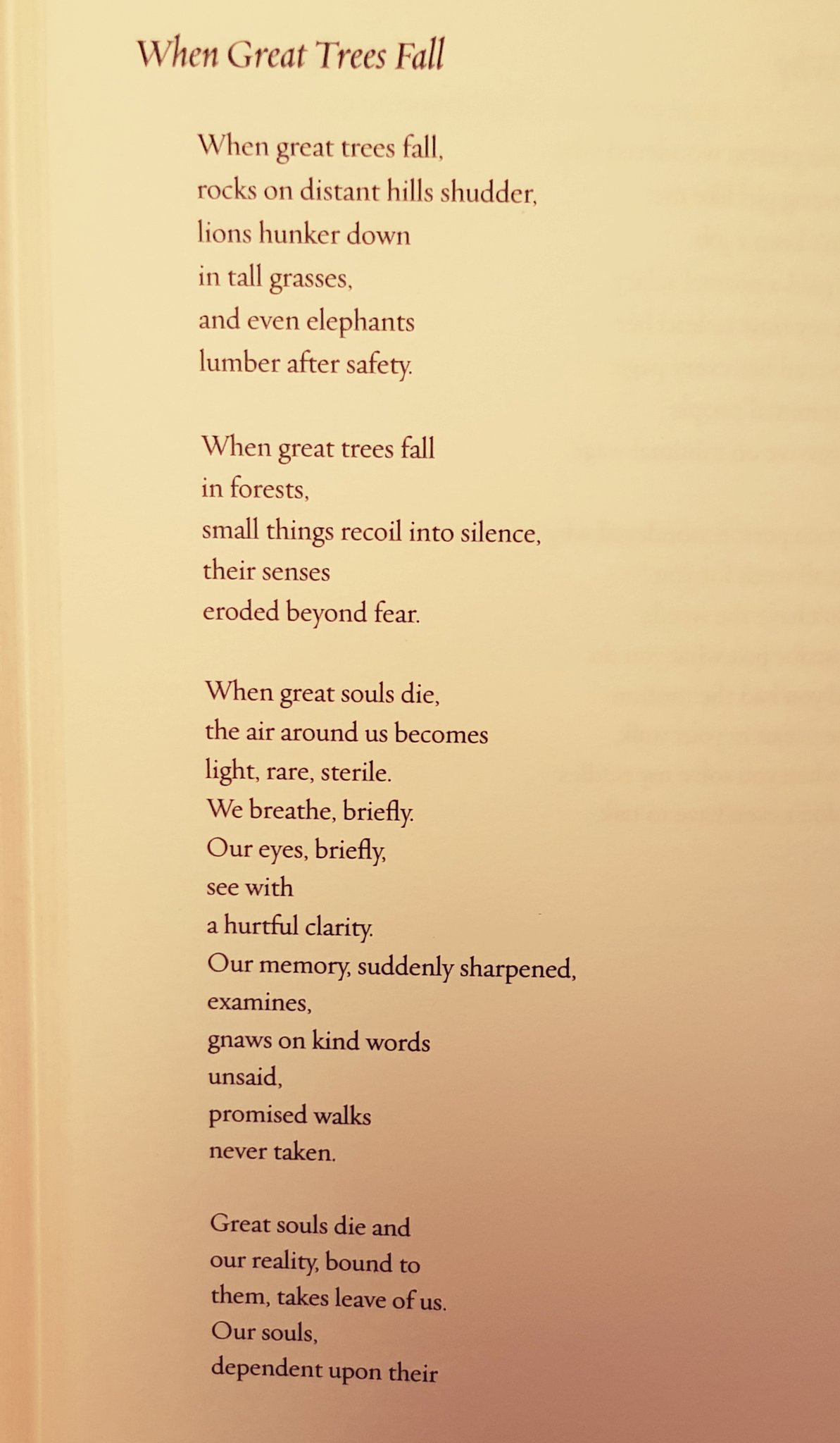 Denis Spillane On Twitter When Great Trees Fall Maya Angelou from Denis spillane on twitter when great trees fall maya angelou from