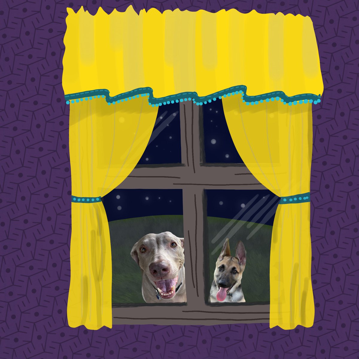 doodlebunchedu's tweet photo. Fridays’s Prompt: Window #doodlebunchedu https://t.co/jD9xF2hMrm