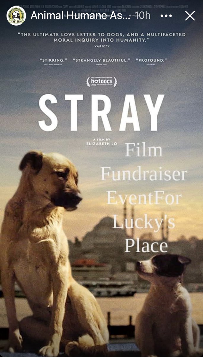 Please consider watching this  wonderful film and support this animal rescue for just $12.  They’re a small shelter that depends 💯 on donations.  tinyurl.com/y6zkpwxe #DogsofTwittter