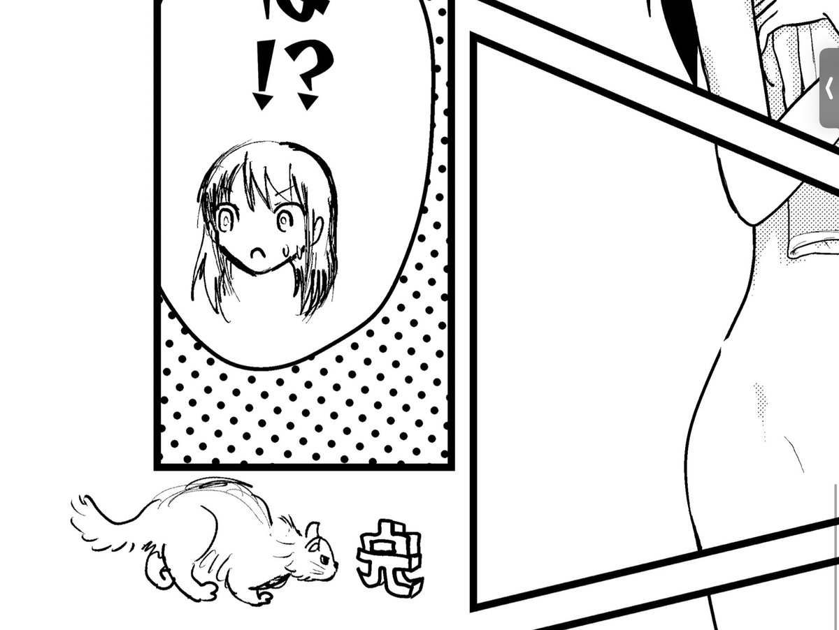 うまくかけた猫(さいつい) 
