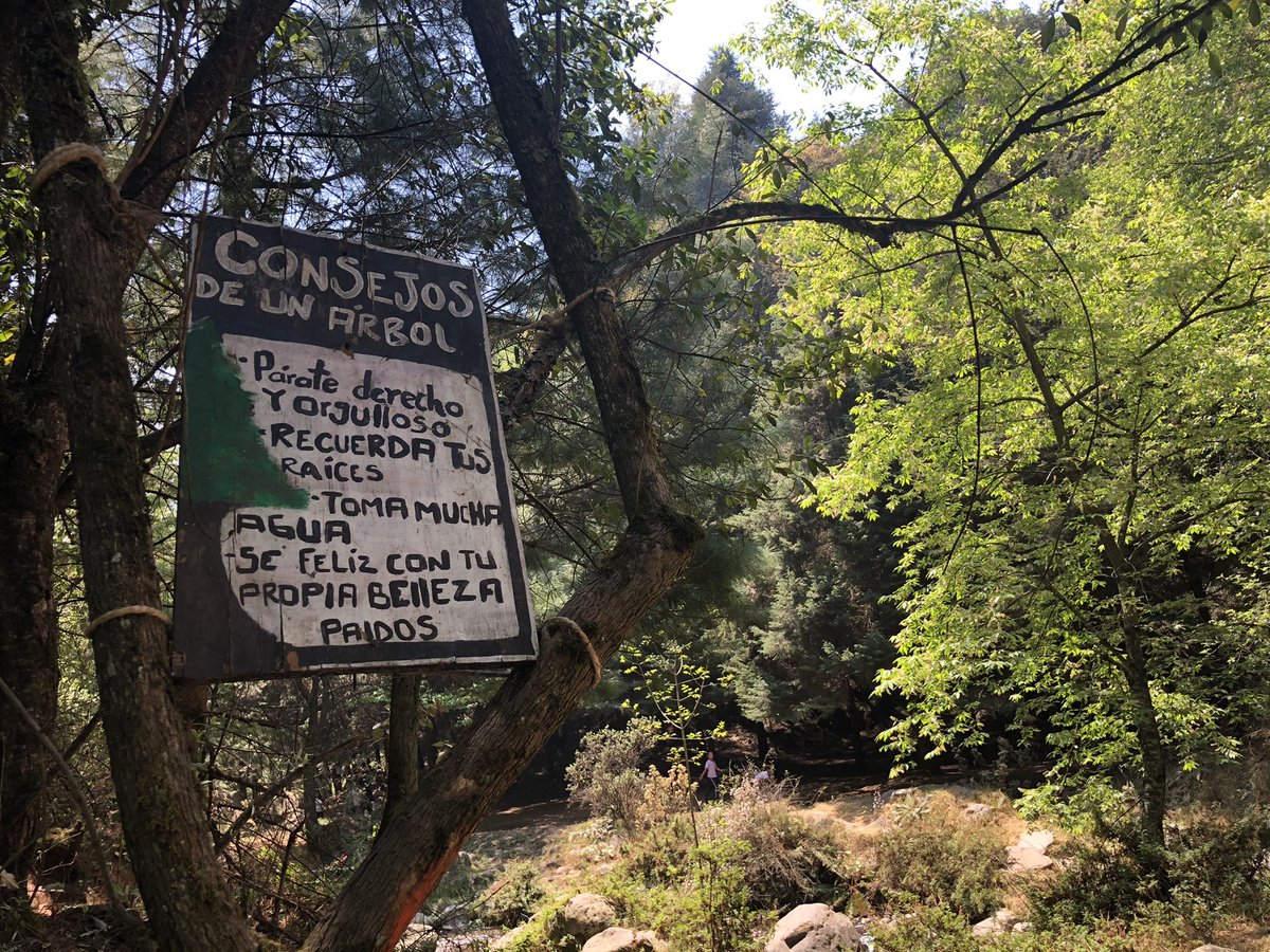 IamDanielGrant's tweet photo. Advice from a tree: stand up straight and with pride; remember your roots; drink plenty of water; and be happy with your own beauty🌲 ⛰ https://t.co/T6Hbwkrv9I