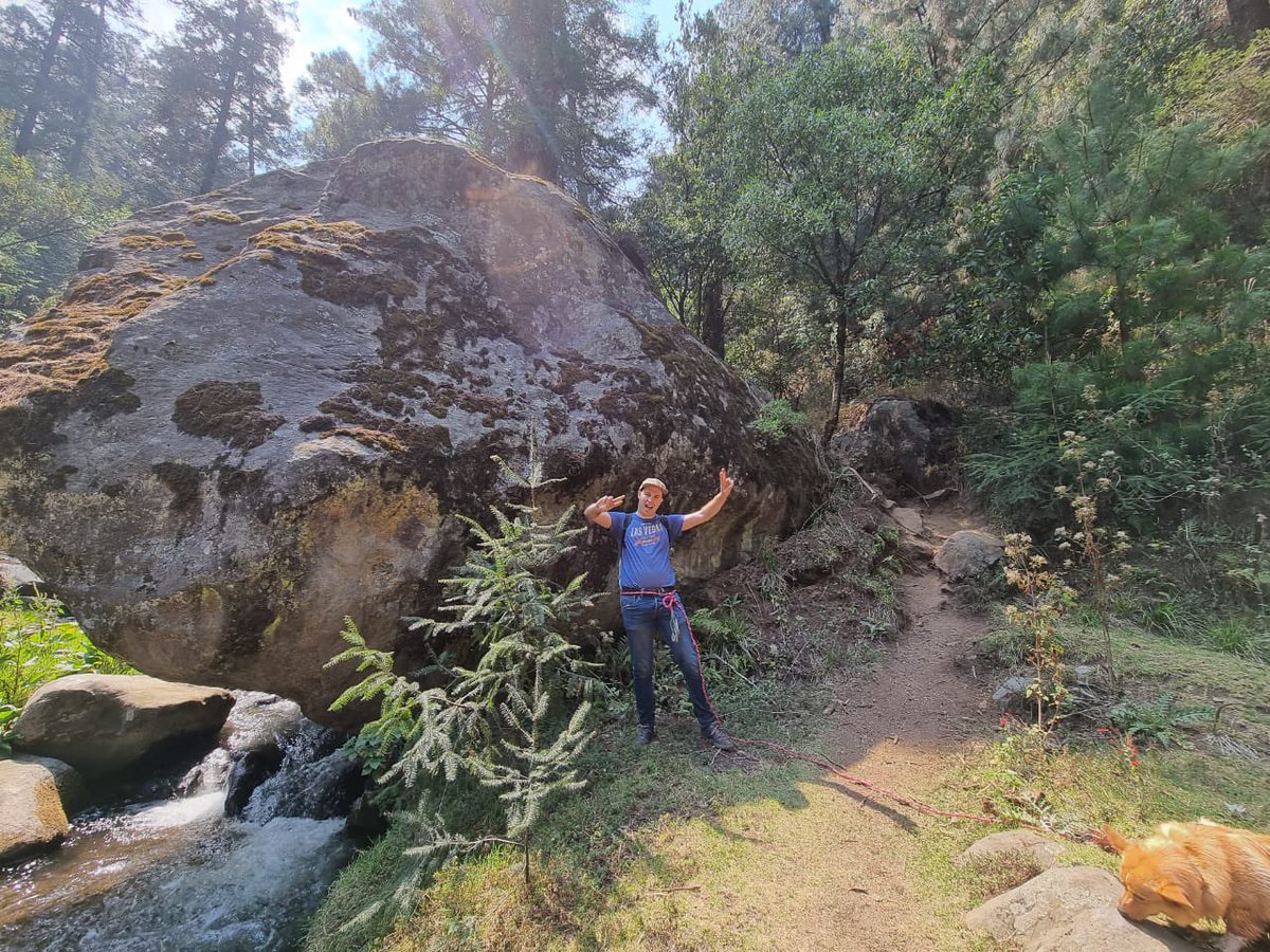 IamDanielGrant's tweet photo. Advice from a tree: stand up straight and with pride; remember your roots; drink plenty of water; and be happy with your own beauty🌲 ⛰ https://t.co/T6Hbwkrv9I