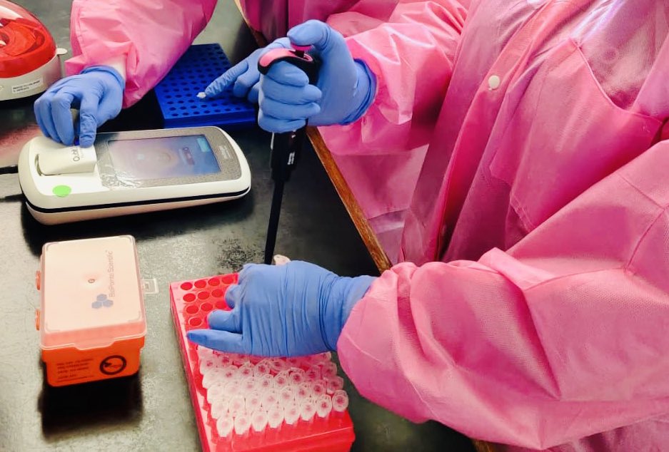 Se detecta en el país la variante P1 SARS-CoV-2 en una paciente positiva procedente de Brasil.