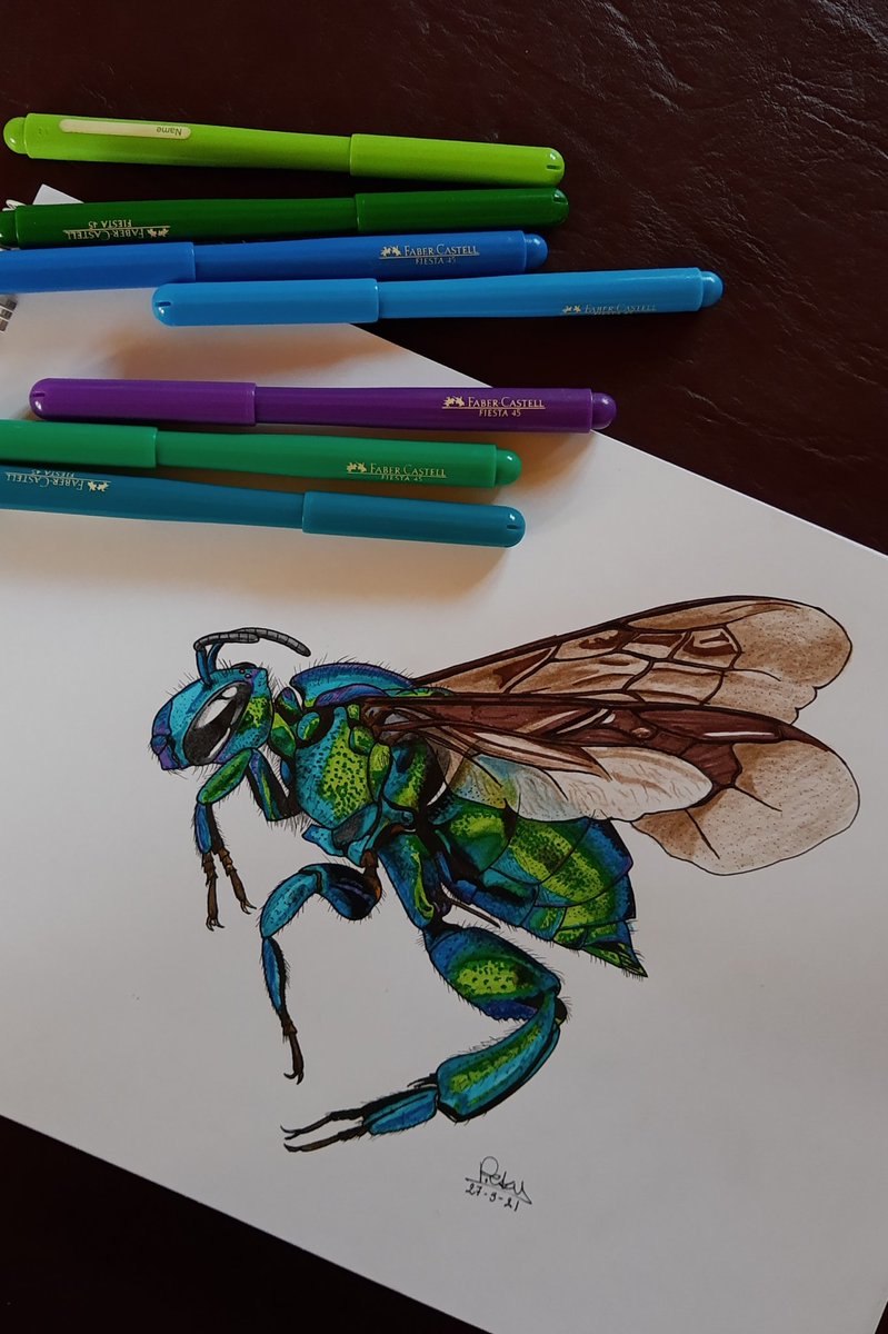 Sábado de distensión #bee #drawing