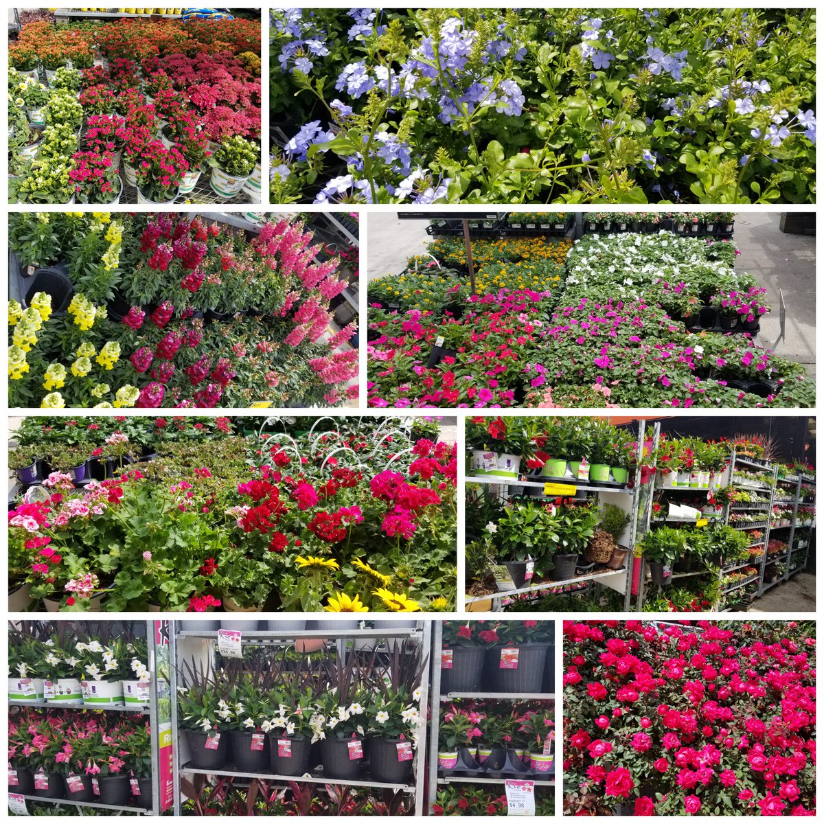 What a COLORFUL way to start a busy Spring Saturday! #letsdothis #GETstarted #amazingvendors <a href="/2915Tammy/">Tammy SM 2915</a> <a href="/ChrisDurand_HD/">Chris Durand</a>