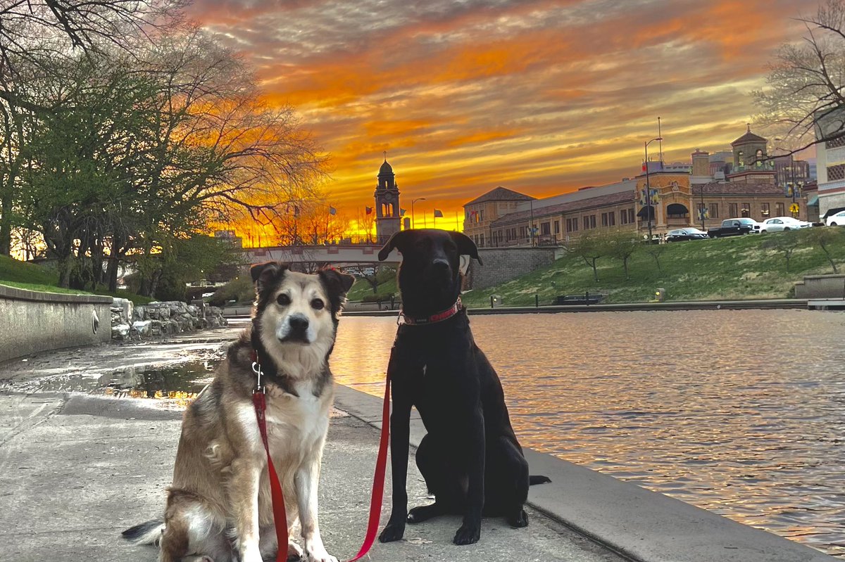 Gary Lezak tweet media