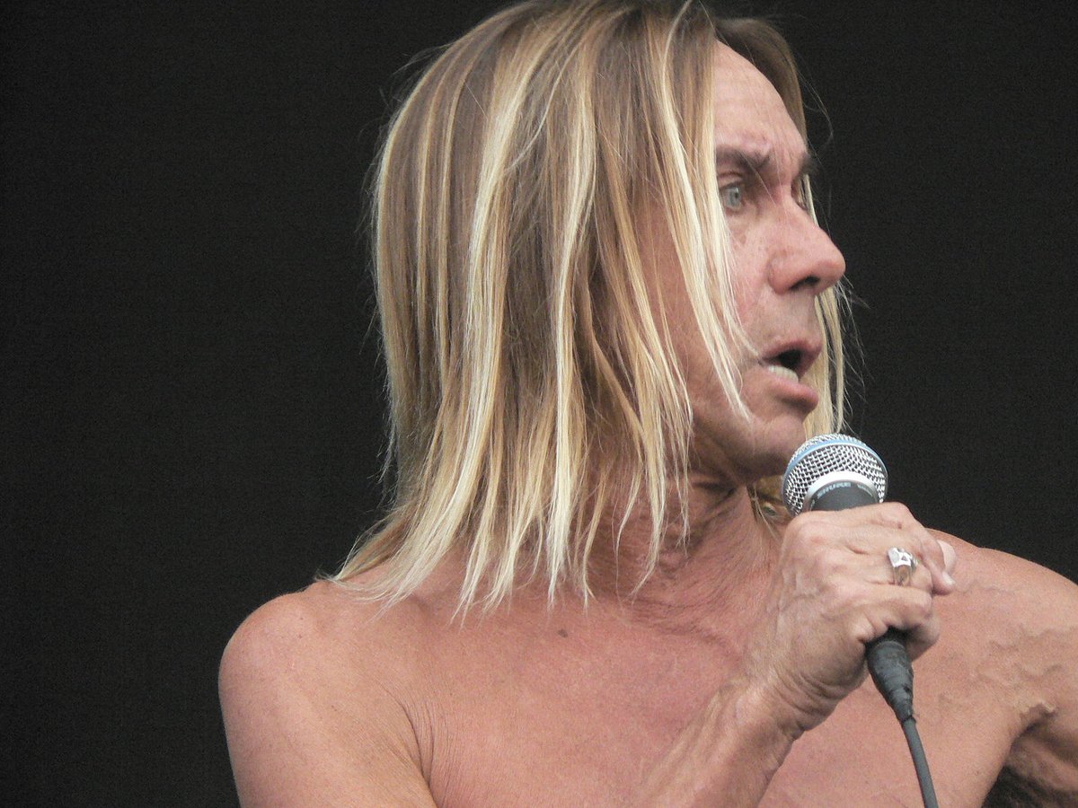 openculture's tweet image. When Iggy Pop Published an Essay, "Caesar Lives," in an Academic Journal about His Love for Edward Gibbon’s The Decline and Fall of the Roman Empire (1995) 

openculture.com/2021/01/when-i…