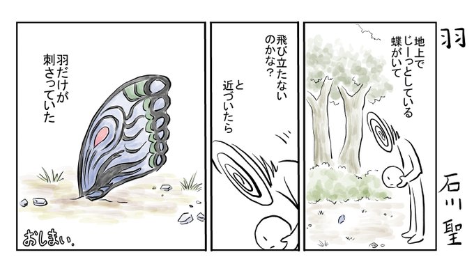 羽 (実体験をもとに漫画にしました)