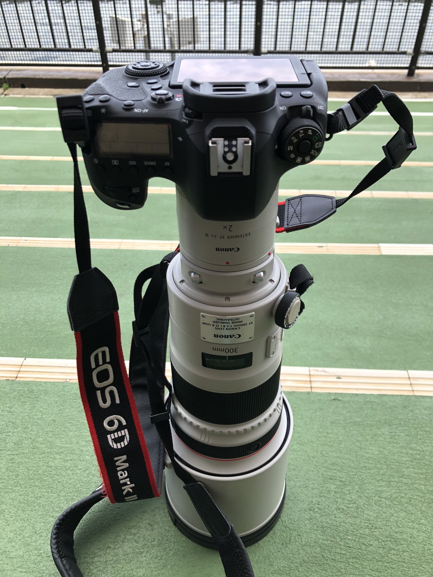 Twitter 上的 よっし コテツさんから引き継いだef300mm F2 8l Is Ii Usm 手持ちだと取り回しが大変ですが 主に飛行機撮影で活躍してもらっています 機材に腕が追いついていないので まだまだ精進あるのみです サンニッパの日 T Co Zfac6nslwu Twitter