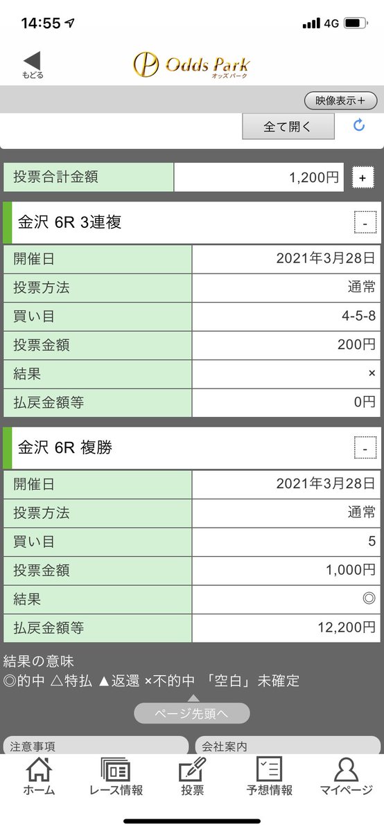 ウマ娘の影響で初めてネット競馬してみた。勝ちました