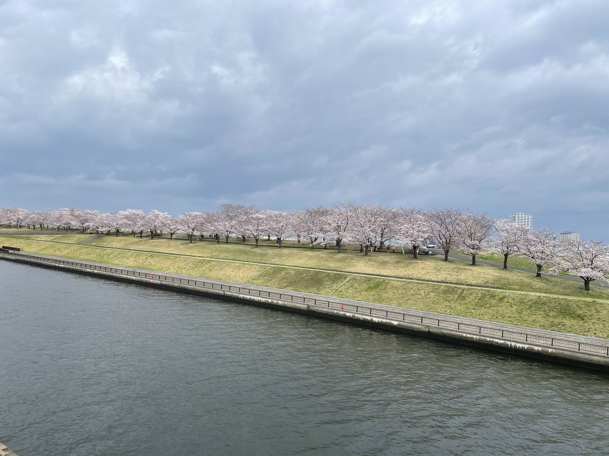 confeitoaa1's tweet photo. 桜からの地下からのビール😆
レッツビアワークス超美味しい🥰 https://t.co/OlHSEkLoDD