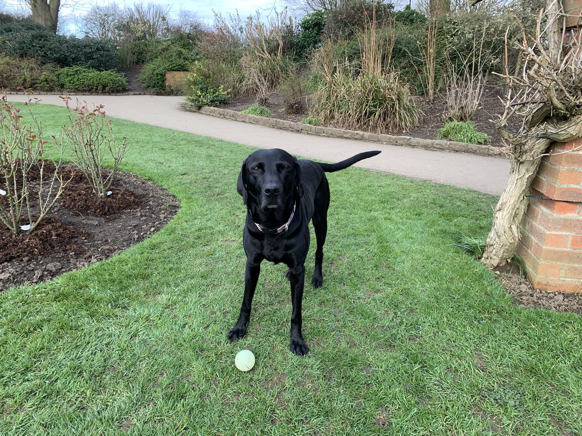 julialivesley's tweet photo. @CumbrianRambler @MastermindQuiz @LDRwaves @keswickbootco @SingletonWayne @Daryn4pics @JillHpdc @LakesStiles @LakesWalksTalks @Mounta1n_Mike @Shed1Gin @AndrewJ3759 Ben 🐾🐾🐾🐾🐾🐾😁😁😁😁 https://t.co/rvls5lg52I