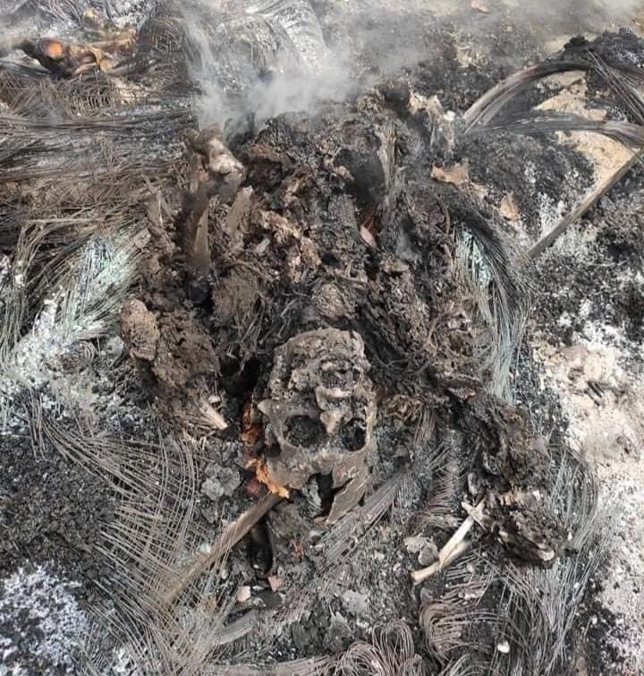 S_Josephy's tweet photo. JUNTA MASSACRE

A civilian was shot and brutally burned to death while he was still alive in Mandalay #Myanmar last night. 

The 40-year old was just on his night guard security routine when the junta's terrorists raided the residential area.

#WhatIsHappeningInMyanmar
#Mar28Coup https://t.co/l5qZaEZZ5W