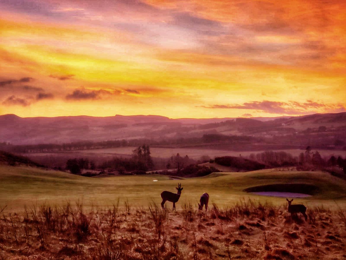 The first summertime sunrise at the Glen @Gleneagleshotel @JohnDeere #nothingrunslikeadeere #scotland #greenkeeping