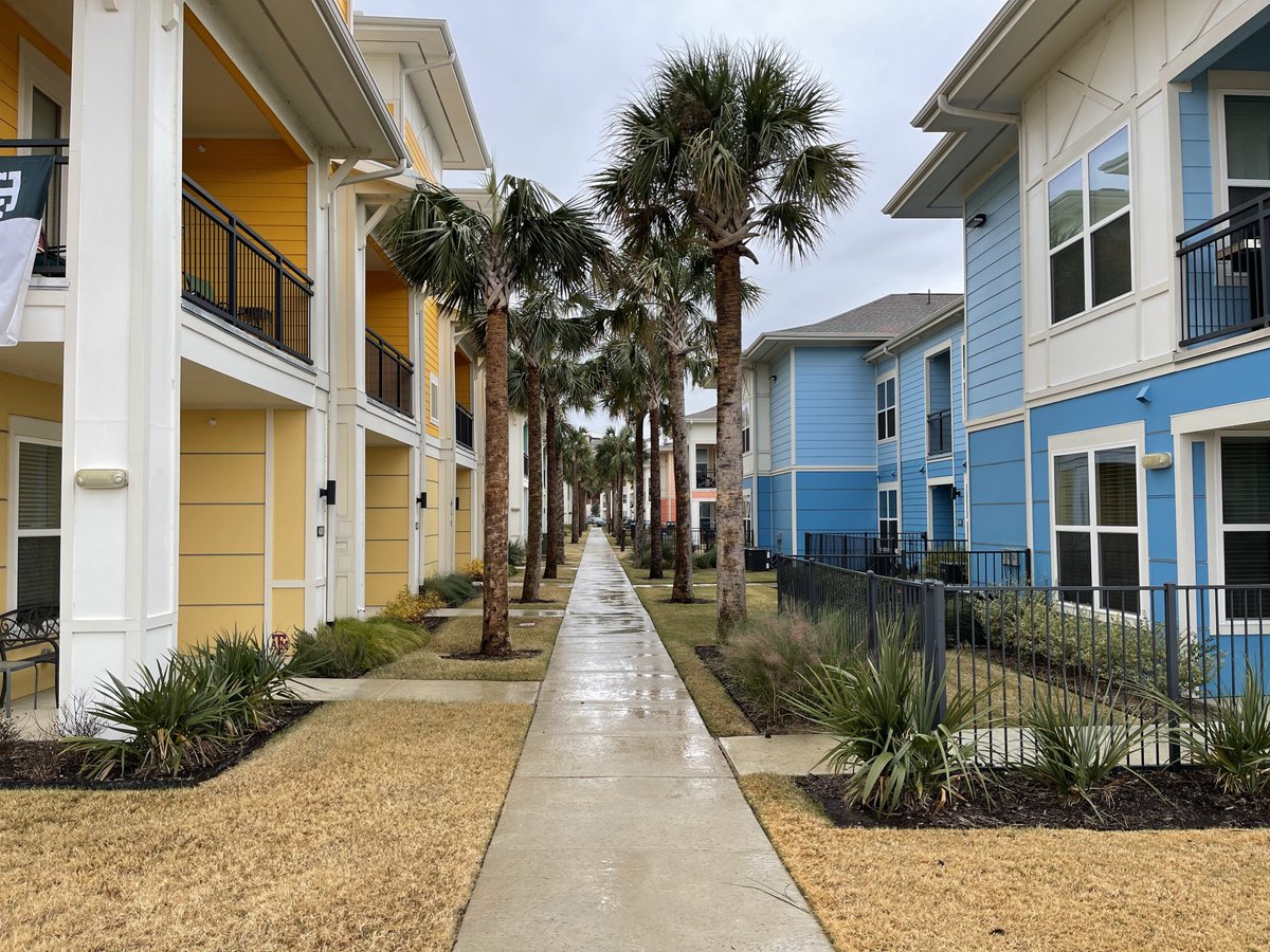 Hebron121's tweet photo. Palm Trees in Texas? That's right, palm trees are in Texas at Hebron 121 Station Apartment homes in Lewisville. Now renting resort style living and offering the absolute best amenities! #Hebron121Station #PalmTreesForDays #AmenityPackageAtHebron https://t.co/z7Xwp8JMLI
