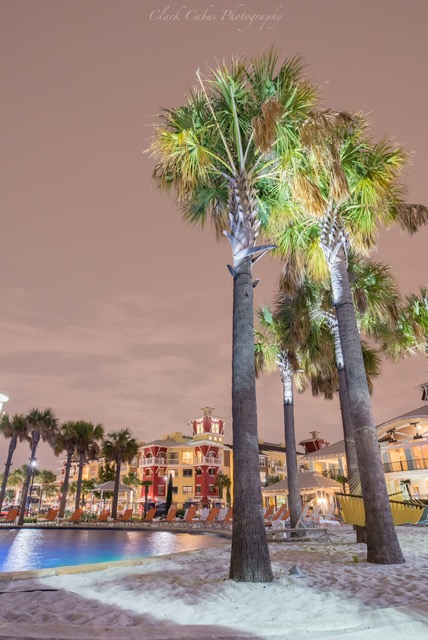 Hebron121's tweet photo. Palm Trees in Texas? That's right, palm trees are in Texas at Hebron 121 Station Apartment homes in Lewisville. Now renting resort style living and offering the absolute best amenities! #Hebron121Station #PalmTreesForDays #AmenityPackageAtHebron https://t.co/z7Xwp8JMLI