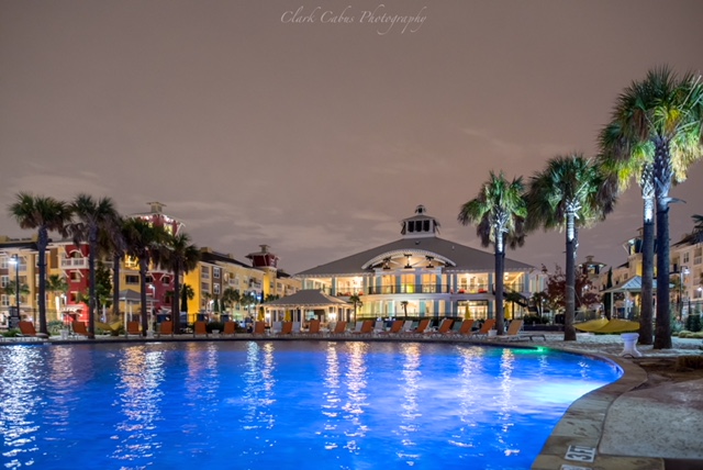 Hebron121's tweet photo. Palm Trees in Texas? That's right, palm trees are in Texas at Hebron 121 Station Apartment homes in Lewisville. Now renting resort style living and offering the absolute best amenities! #Hebron121Station #PalmTreesForDays #AmenityPackageAtHebron https://t.co/z7Xwp8JMLI