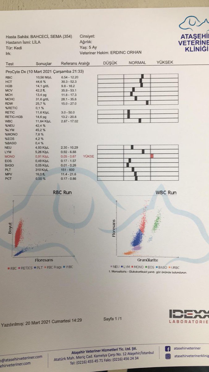 #fipwarriorsturkey #fiplikedilereyardim #fipwarriorsofinstagram #survivor2021 #survivor #fiplikediler #fipsavaşçısıkediler #fipwarriors #fipwarrior #fip #fipwarriorclub