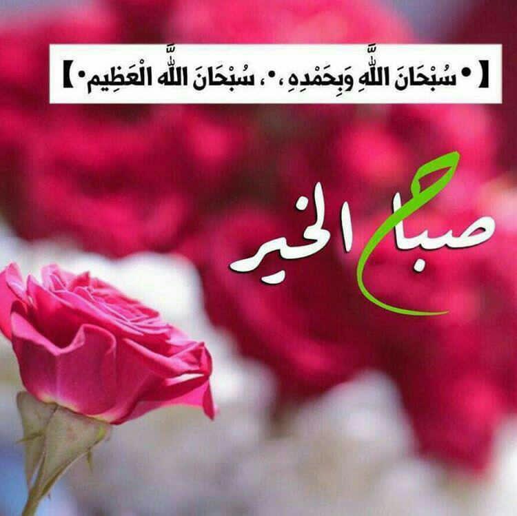 uae91911's tweet photo. #صباح_الخي�� https://t.co/0rXB6rF1Yt