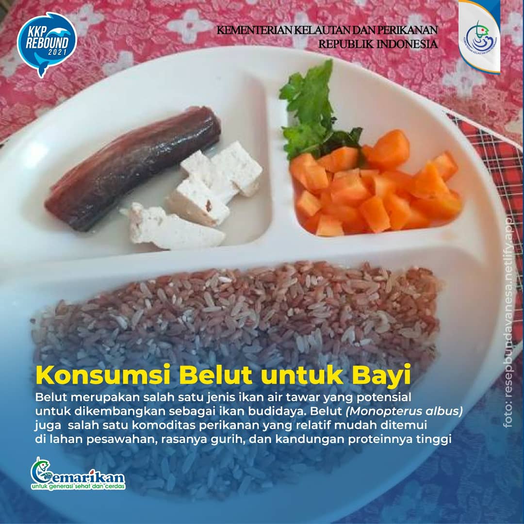 kkpgoid's tweet photo. #SahabatBahari, sudah mulai bingung olahan ikan apa yg cocok digunakan sebagai sumber MPASI utk anak? Cobain menu satu ini deh. Belut cocok dikonsumsi untuk semua kalangan, termasuk untuk bayi. Yuk para bunda boleh dicoba untuk sarapan paginya!
#KKPGOID #KKPRBEBOUND #RBKKPHEBAT https://t.co/eYZyjfiRd3