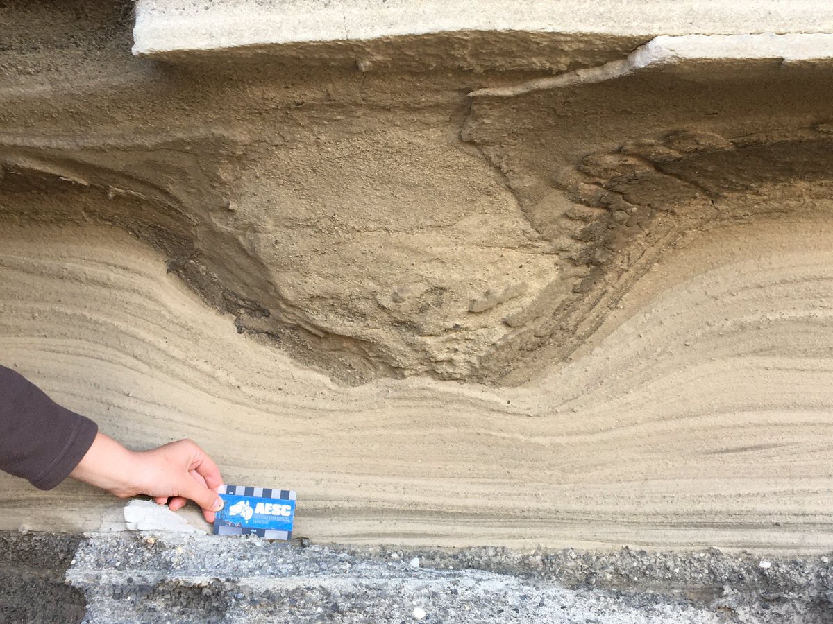 sandramcgeo's tweet photo. Volcanic and country rock clasts forming sag structures of all sizes in the Tower Hill #tephra 🤩 @GEOL20003 @SciMelb #geology https://t.co/Xsp1Q1B0xk