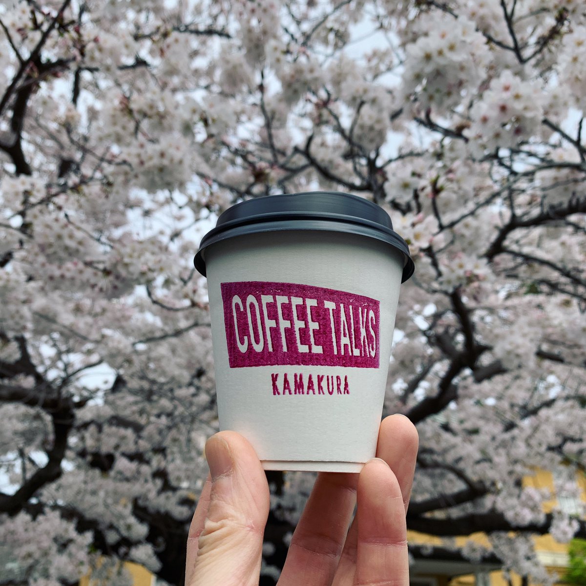 coffeetalks2018's tweet photo. 桜満開ですが、

土砂降りになってきた、、。

takeawayカップの赤スタンプ好評です🌸

#鎌倉カフェ  #鎌倉桜 #鎌倉カフェ
 #cherryblossom #sakura #桜満開 #ソメイヨシノ #fullbloom #花 #鎌倉 #kamakura #kamakuracafe #caffelatte
#カフェラテ #togocup #coffeetogo #takeawaycoffee 
#takeawaycup https://t.co/2mWrhZGFQD