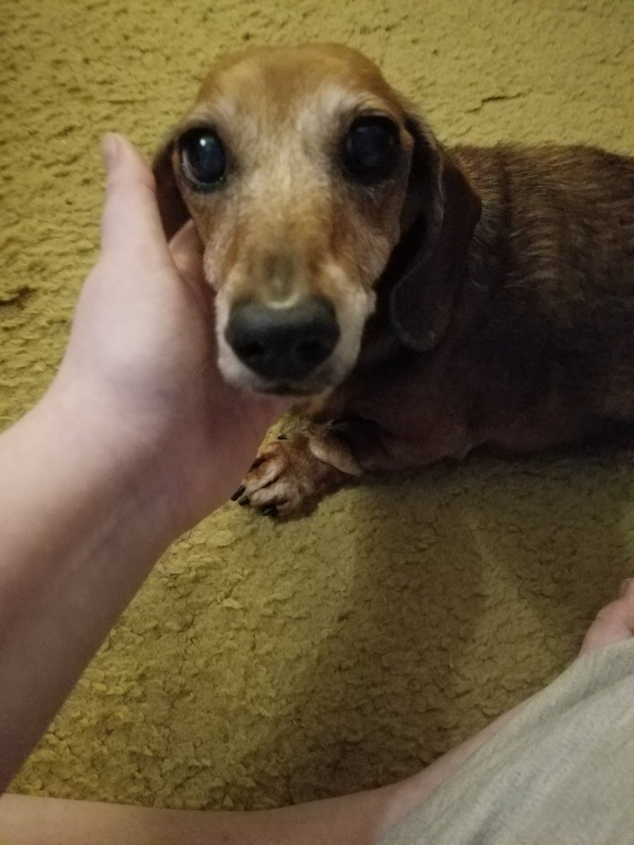 jesi309's tweet photo. Also, sad note, Brandi passed away. https://t.co/xop82ZxUBH