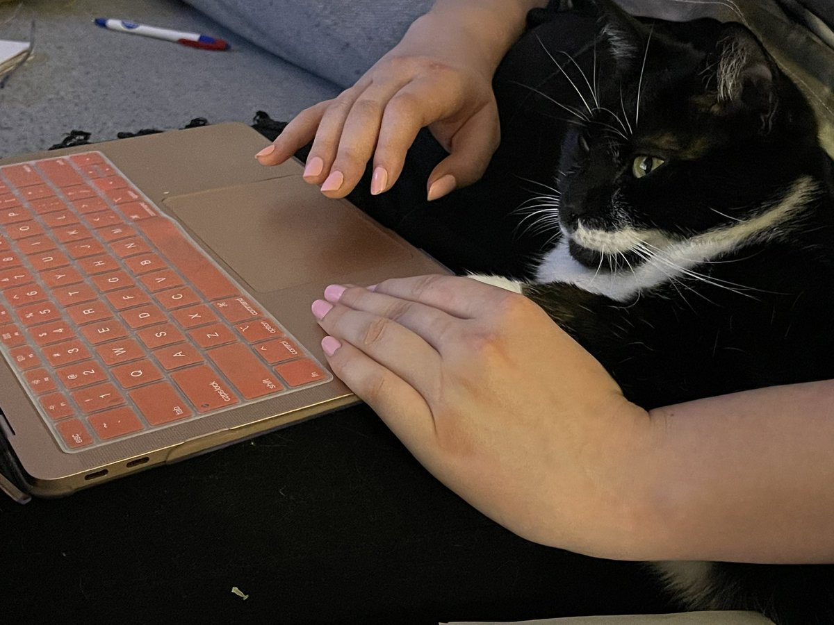 BirchEBirch's tweet photo. Mahogany is hard at work calculating win numbers https://t.co/PywXAvtAGf