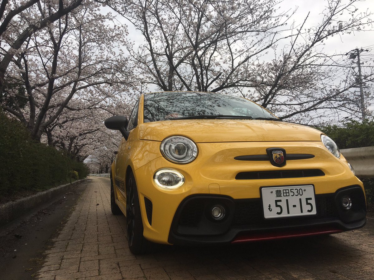 Byper_yam's tweet photo. #桜 #595 #matsuda3 #forstar #copen https://t.co/xFLPBp0Feq