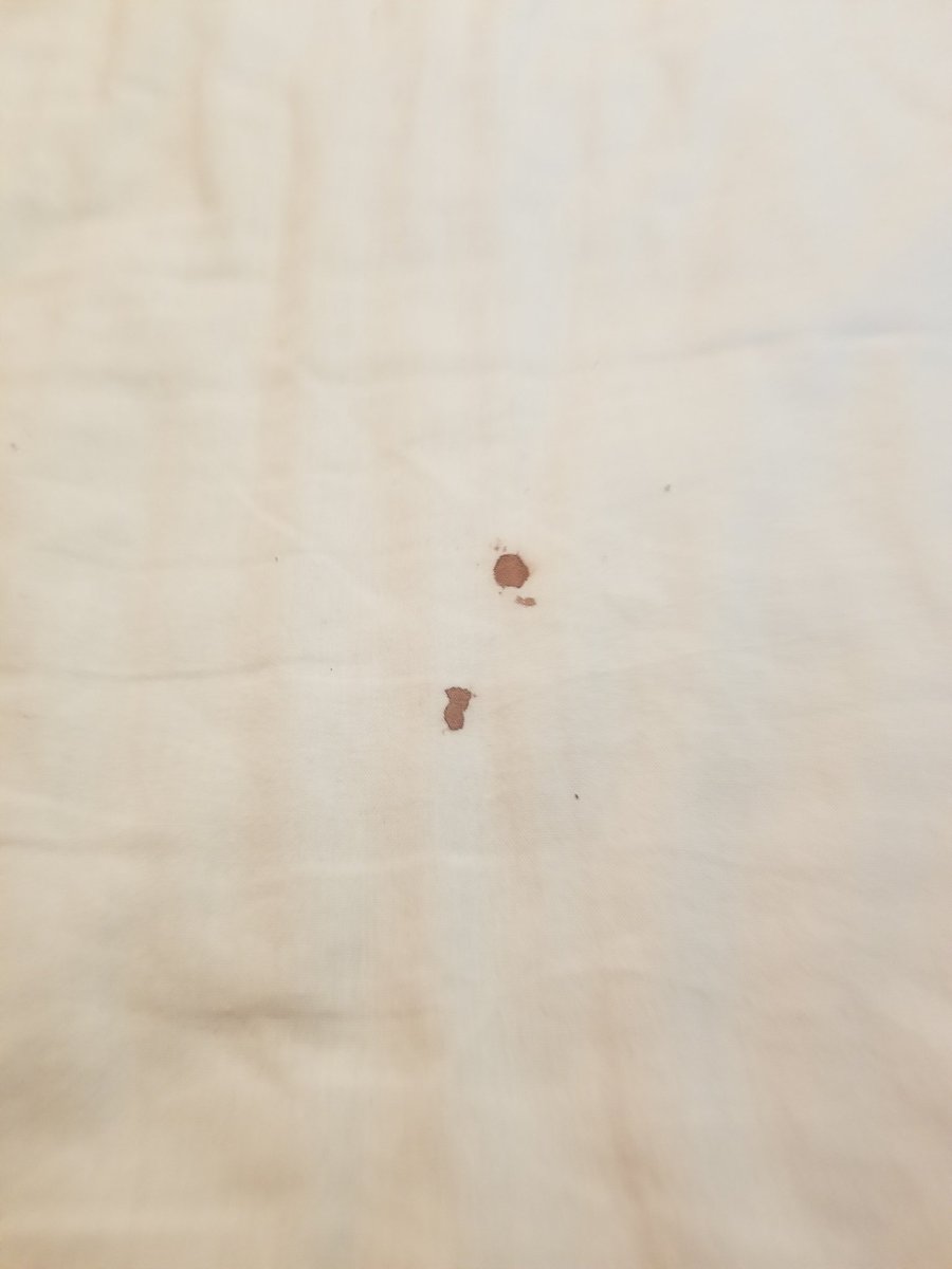 GennaHert's tweet photo. Hey @motel6 I dont rent a room thinking I'm getting 4 star service, but have a minimum expectation of no blood on my sheets. #OklahomaCity #motel6 https://t.co/bEsLoSD5bP