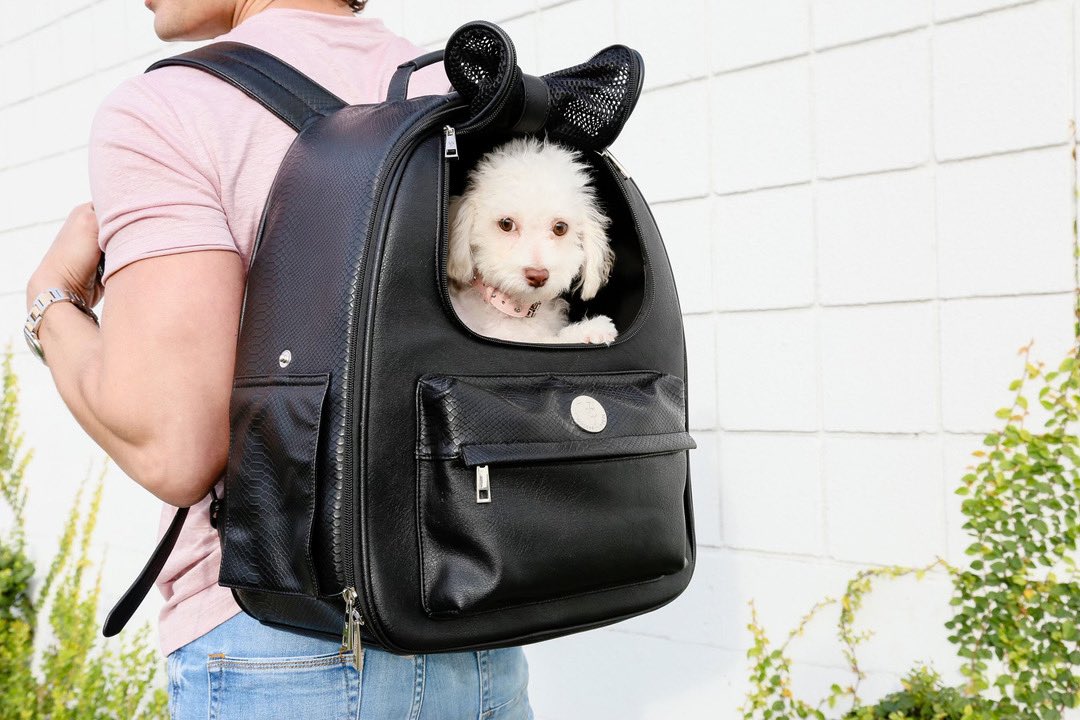 dog mom backpack