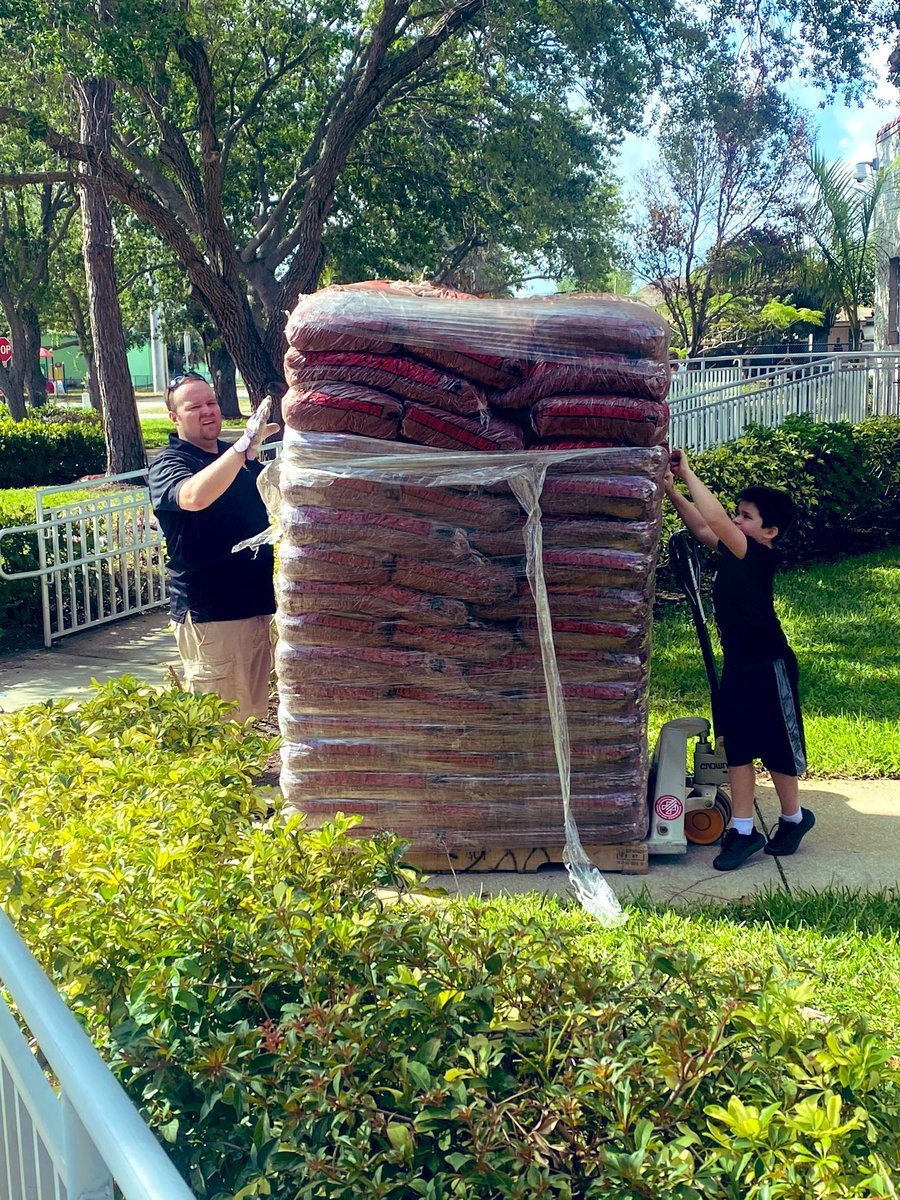 mlambrou88's tweet photo. A little campus beautification goes a long way!! @philippreddy @MathwithMorgan @camarokris4 @CFimpact @LPE_AP @BioTeach310 @Lake_Park_Lions #LionUp #kidsdeserveit #heroesinlife #RoarTogether #gardenrescue https://t.co/d5FAPN8enr