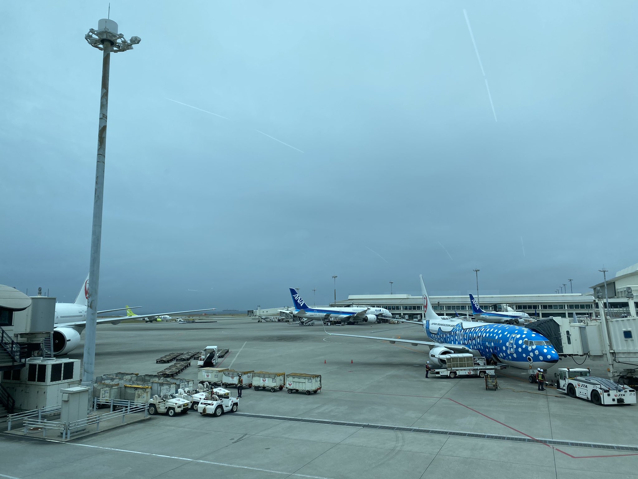 井田寛子 いよいよフライト ありがとう沖縄 T Co 1bnhebnkkf Twitter