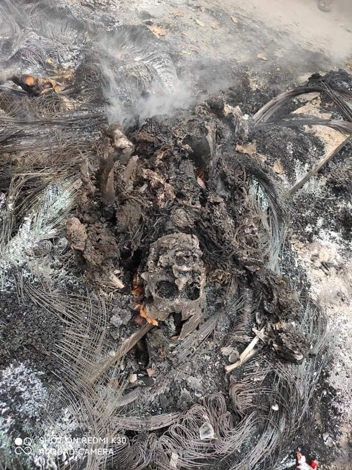 SweZinHlaing4's tweet photo. Tw // dead // bones 

A man, father of 4 children, was burned ALIVE by Soldiers and Police last night. 📍Mandalay 

JUNTA MASSACRE
#WhatsHappeningInMyanmar #Mar28Coup https://t.co/RSCSGArPsT