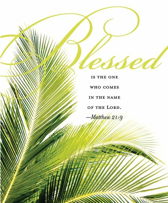 SusanSawe's tweet photo. Palm Sunday
Hosannah! Blessed is he who comes in the name if the Lord.
#Lent
#GraceSunday6
#LastSundayInLent
#ThePottersTune🎶 https://t.co/3aomEYQRjT