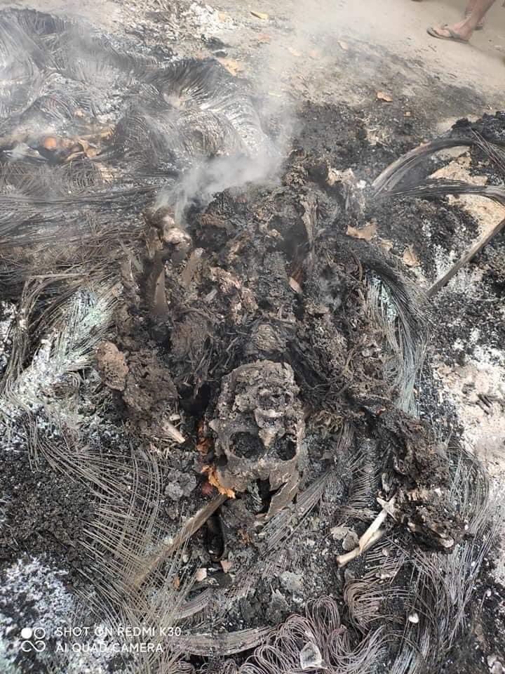 EjLwin's tweet photo. 🚨In Mandalay, on the night of March 27, a group of terrorists set fire to a man who was watching them, according to locals.Mandalay 19 Street, Mintayekin, A man was burnt on fire and killed by members of the militant group. #WhatsHappeningInMyanmar #HumanRightsViolations https://t.co/Xsa8AljIPJ