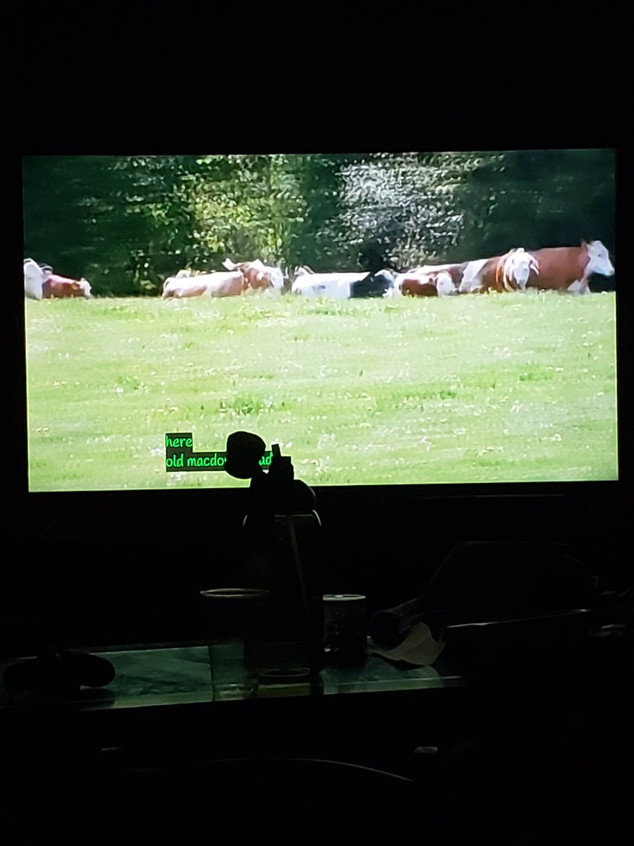 StreengahBell's tweet image. Somehow this child turned a last minute &apos;movie night&apos; into weird random animal videos on YouTube and now I&apos;m a bit concerned and worried about my well being...#HelpMeUrgently