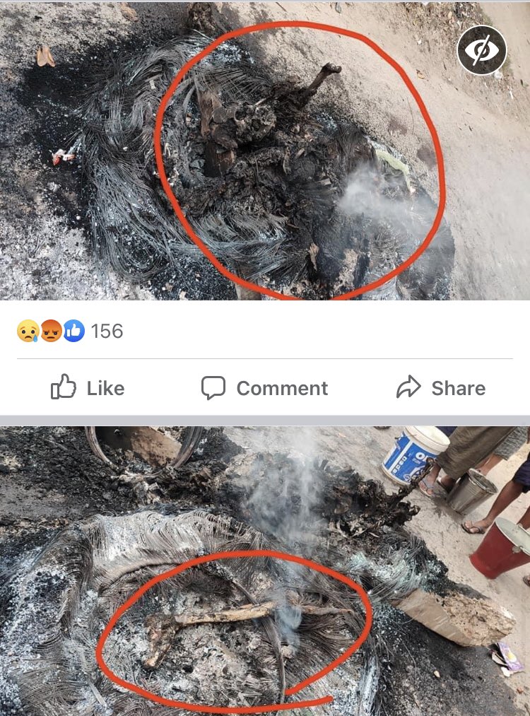 #WhatIsHappeningInMyanmar                 Soldiers burned a civilian alive on fire to dead last night , Only bones remained on ash .
March 27, in Mandalay