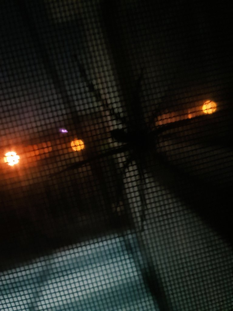 AzTeKWolF tweet media