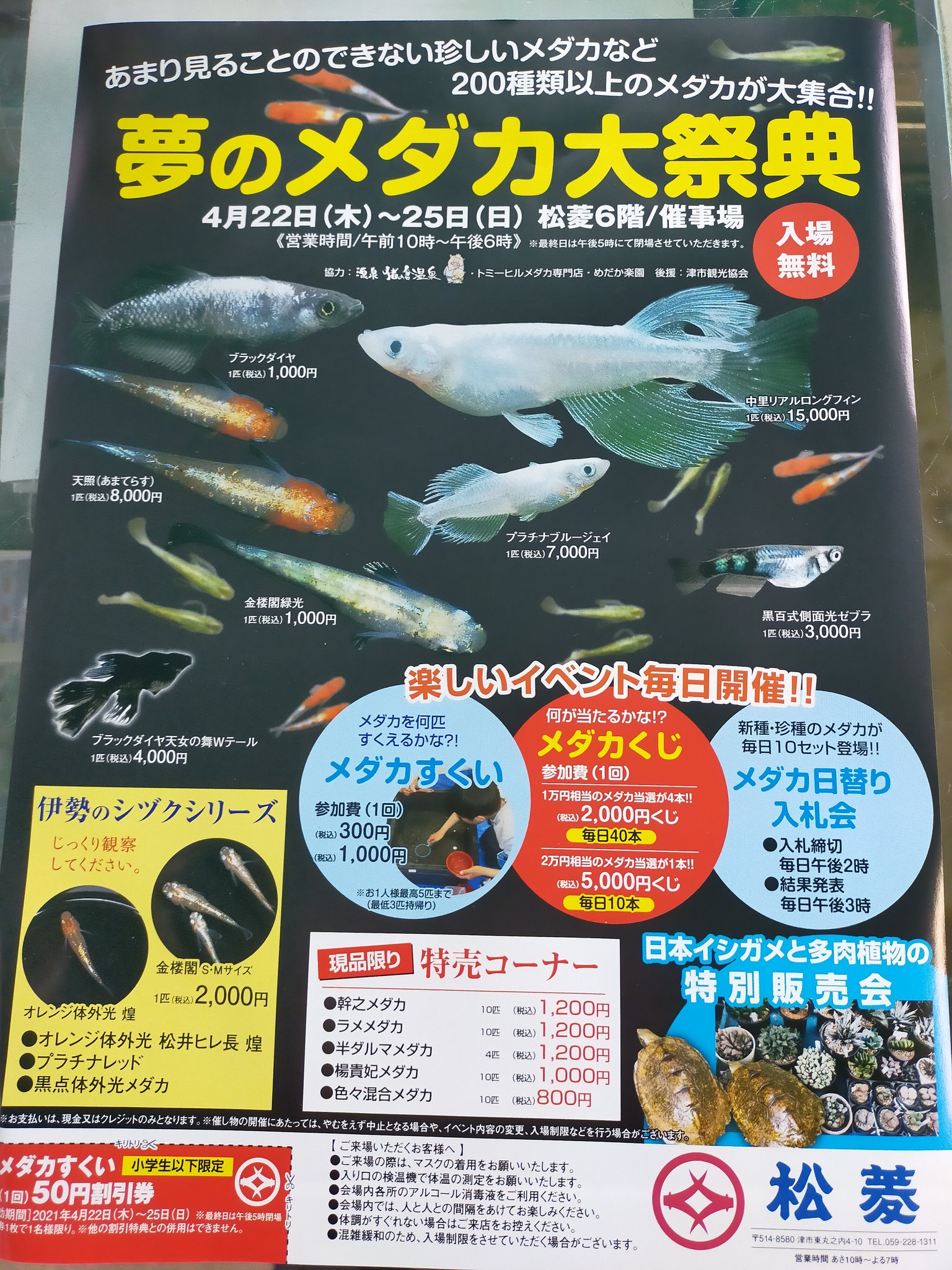 ヒロのメダカ達 三重県めだか研究会 やるみたいやで 一応 報告しときます T Co Omwppbzewj Twitter