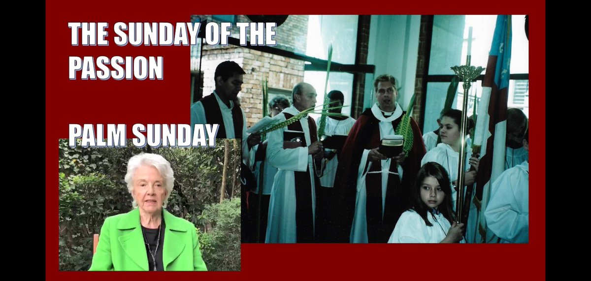 Christ Church Anglican/Epsicopal Mexico tweet media