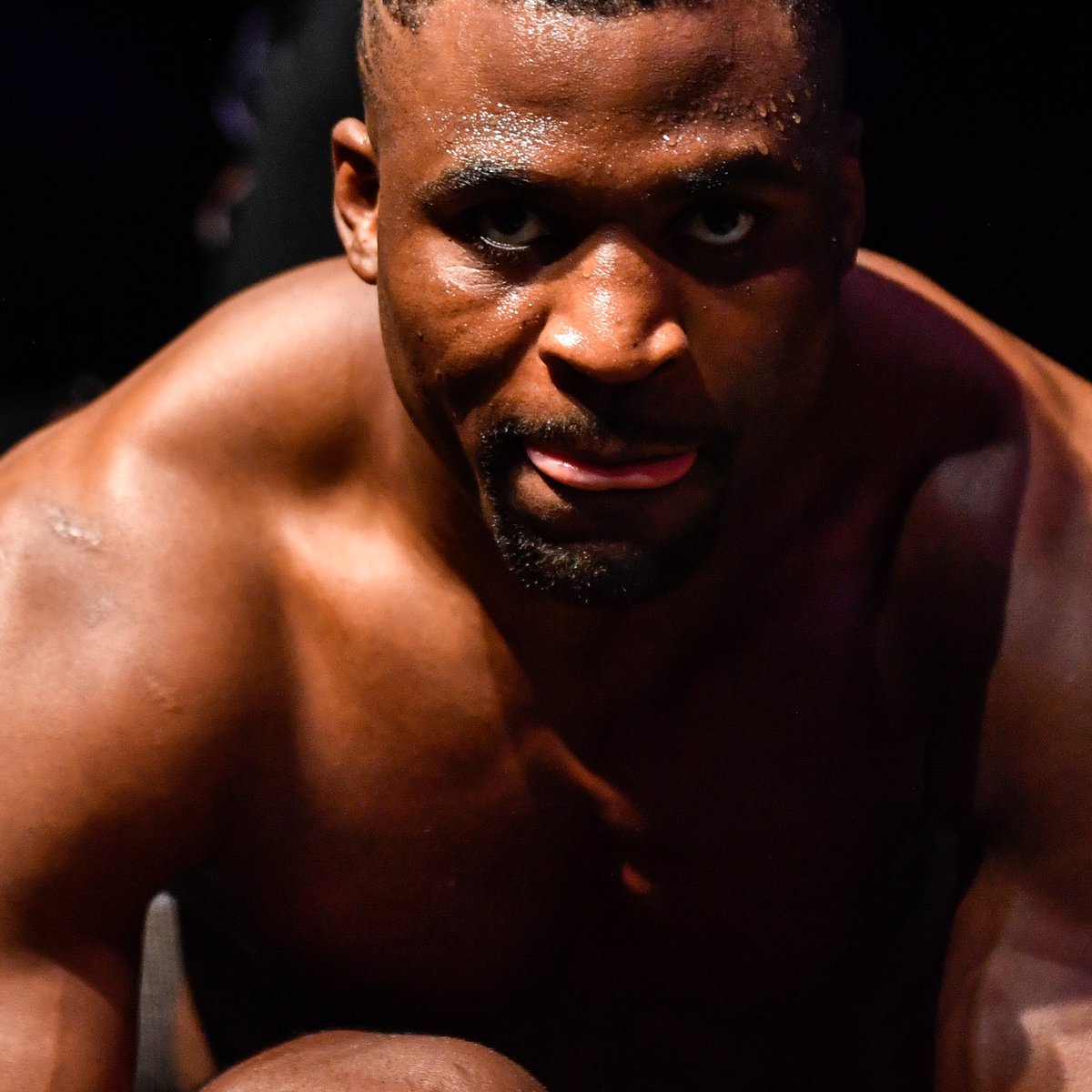 bet365's tweet photo. 🇨🇲 Heavyweight - Francis Ngannou
🇳🇬 Middleweight - Israel Adesanya
🇳🇬 Welterweight - Kamaru Usman

No continent holds more UFC titles in the men's division than Africa.

#UFC260 https://t.co/mEANLuk6LU