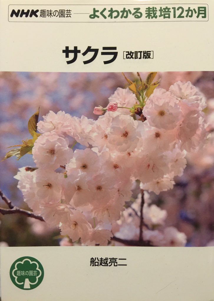 もっふる通り Sk 応援中 旭山桜の肥料 は難しくなくて ハイポネックスの花用タイプを空きペットボトルに入れて薄めたものや ダイソーやキャンドゥの園芸コーナーで100円で買える固形肥料を時々あげる程度です 害虫もそんなに付かないし 念のために もっふる通り Sk 応援中 旭山桜の肥料 は難しくなくて ハイポネックスの花用タイプを空きペットボトルに入れて薄めたものや ダイソーやキャンドゥの園芸コーナーで100円で買える固形肥料を時々あげる程度です 害虫もそんなに付かないし 念のために